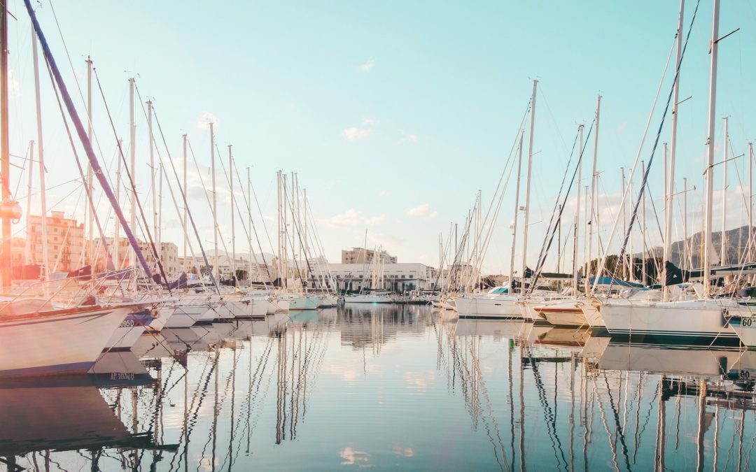 Latitudine 38 – Case Study