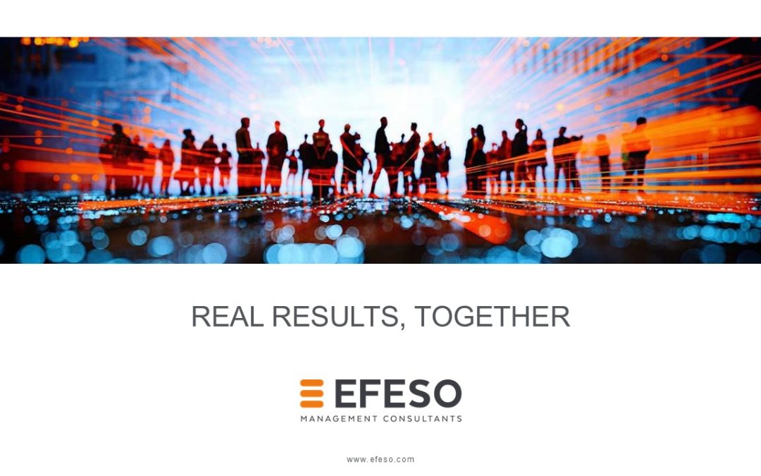 EFESO e HUDI – Una collaborazione Continua e di Successo